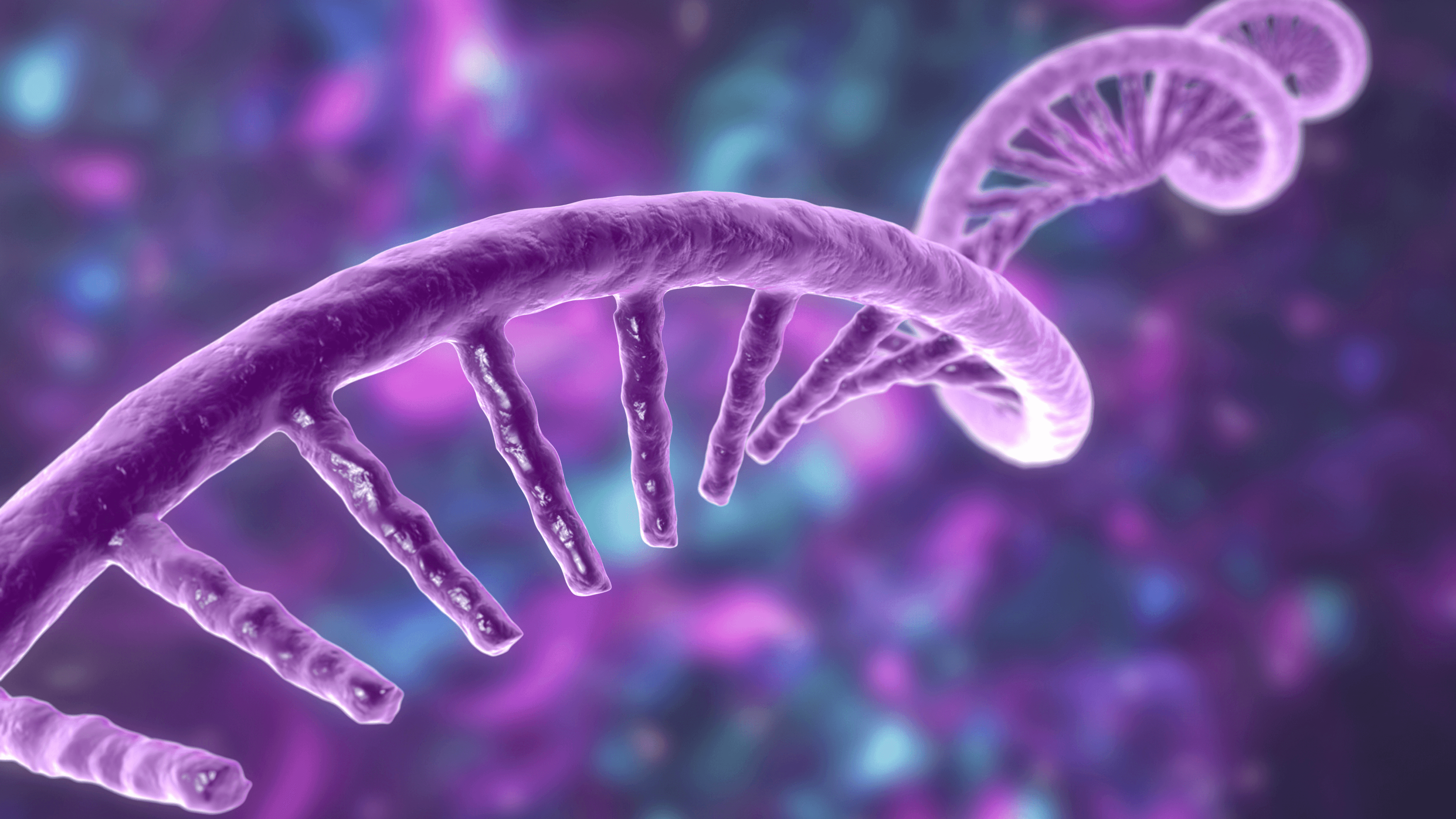 Polynucleotides